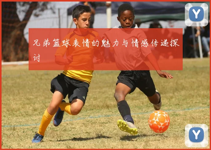 兄弟篮球表情的魅力与情感传递探讨