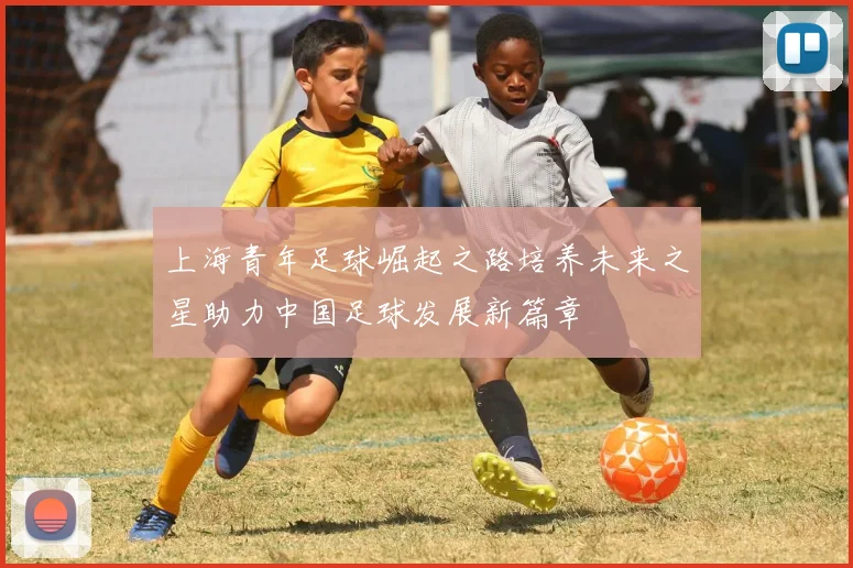 上海青年足球崛起之路培养未来之星助力中国足球发展新篇章