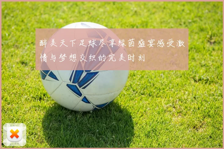 醉美天下足球尽享绿茵盛宴感受激情与梦想交织的完美时刻