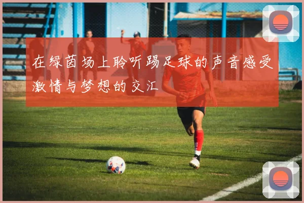 在绿茵场上聆听踢足球的声音感受激情与梦想的交汇