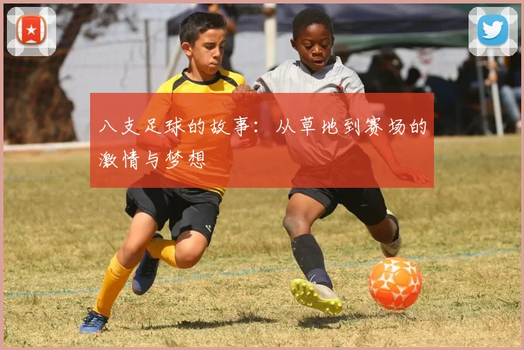 八支足球的故事：从草地到赛场的激情与梦想