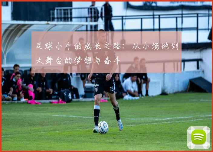 足球小牛的成长之路：从小场地到大舞台的梦想与奋斗