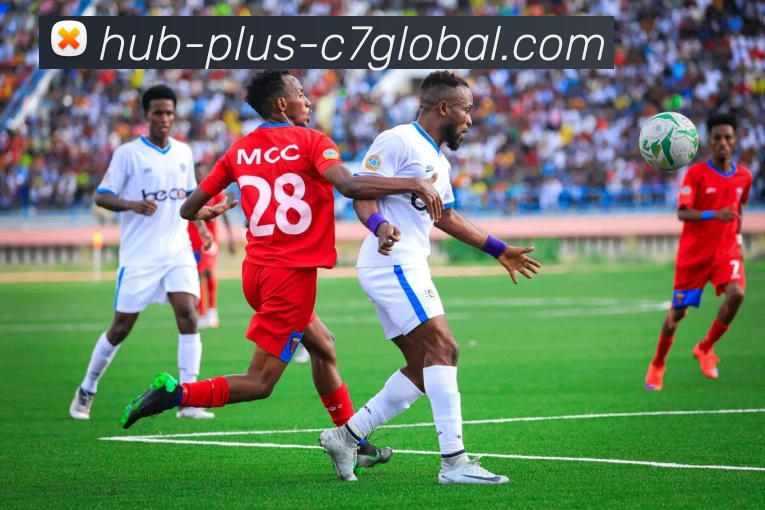 C7娱乐服务体系